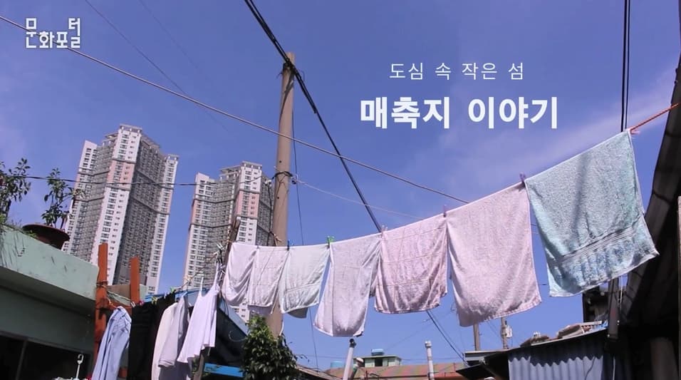 도심 속 작은 섬 매축지 이야기